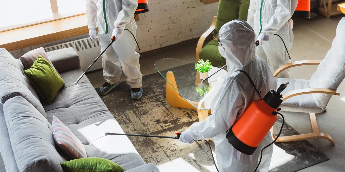 empresa para limpieza profesional en valencia - desinfección de espacios-